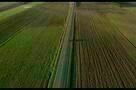 Sag nicht, wer du bist - Trailer