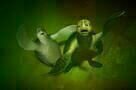 Sammys Abenteuer 2 - Trailer