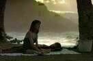 Sand Dollars 11