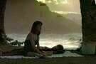 Sand Dollars 11