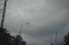 Sapi - Trailer
