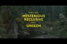 Sasquatch Sunset - Trailer