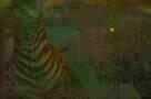 Schiffbruch mit Tiger - Trailer