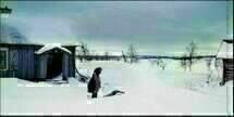 Schneeland