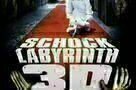 Schock Labirynth 3D