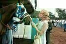 Secretariat 09