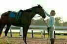 Secretariat 10