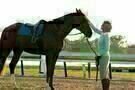 Secretariat 10