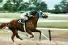 Secretariat 11