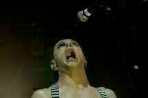 Sex &amp; Drugs &amp; Rock &amp; Roll