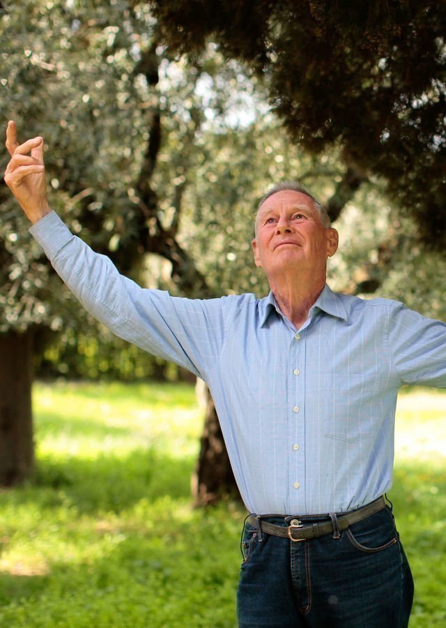 Shalom Italia - Poster