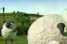 Shaun das Schaf - Ausschnitt