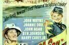 She Wore a Yellow Ribbon - Poster