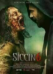Siccin 6