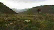 SIGHTSEERS 1