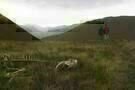 SIGHTSEERS 1