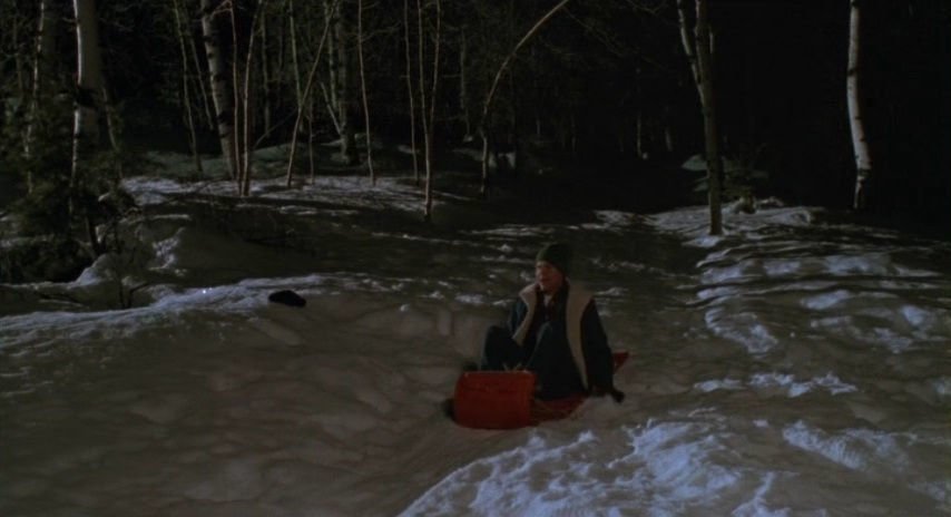Silent Night Deadly Night 2 02
