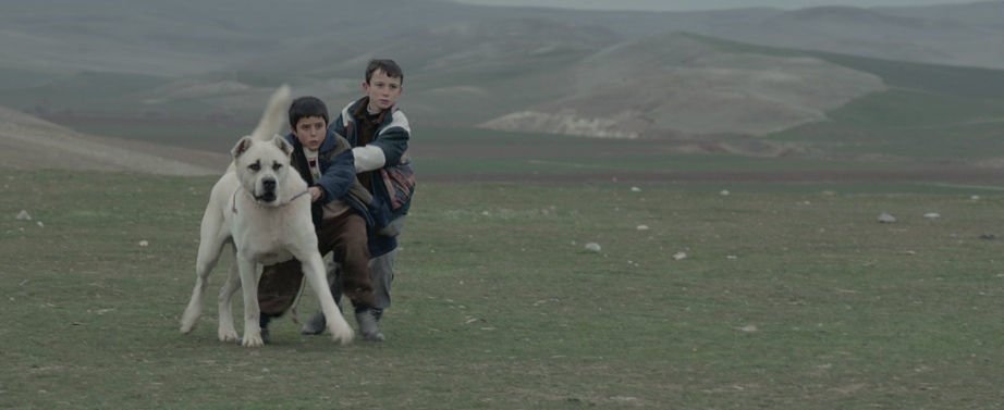 Sivas 05