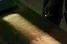 Slow West - Trailer
