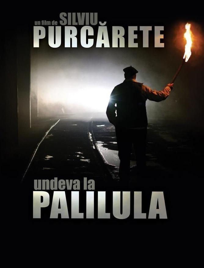 Somewhere in Palilua - Poster