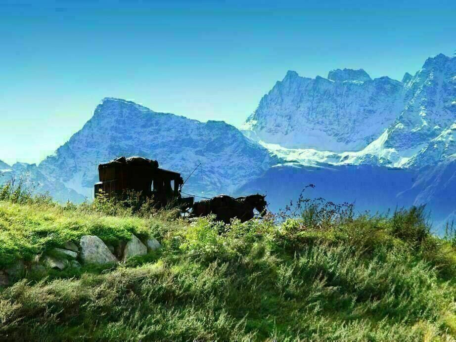 Sommer der Gaukler  10