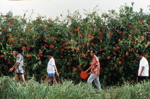 Sonatine