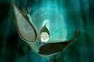 songofthesea