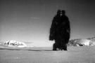 Space Invasion of Lapland