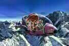 Speed Racer