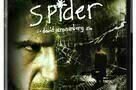 Spider 1
