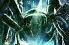 Spiders - Poster