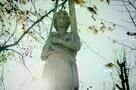 Spira mirabilis 13