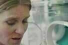 Spira mirabilis - Ausschnitt 1