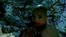 Splice