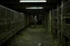 Spoor 4