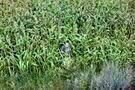 Stadt  Land  Fluss 07
