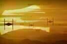 Star Wars 7 05