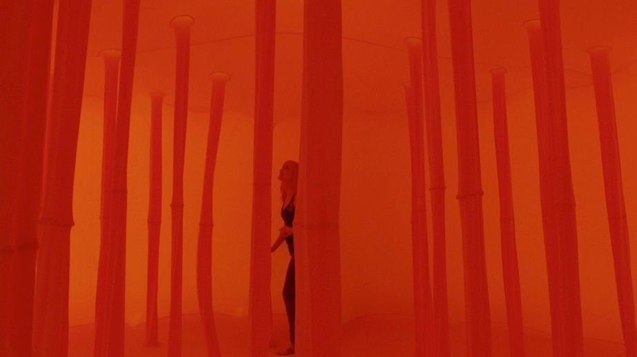 Station to Station 04