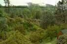 Stemple Pass 02