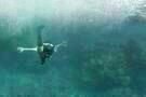 Still the Water 02