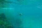 Still the Water 05