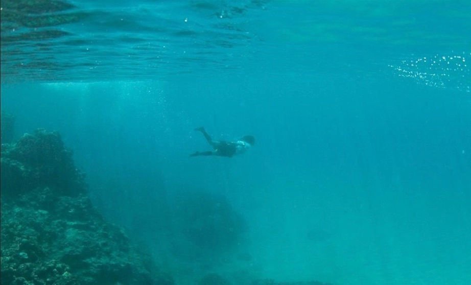 Still the Water 05