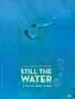 Still the Water - Plakat