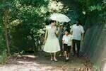 Still Walking