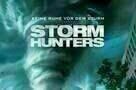 Storm Hunters - Plakat