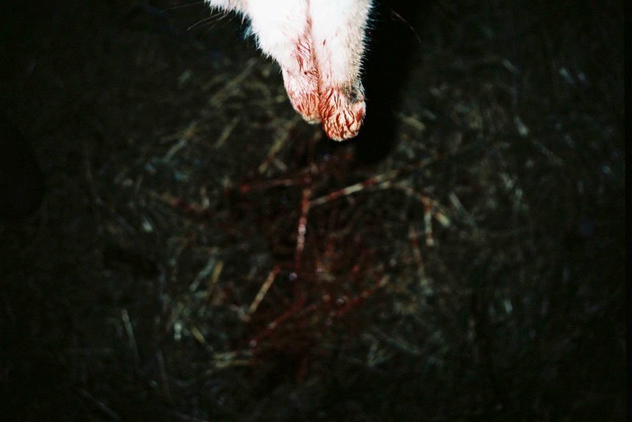 Story of My Death 04