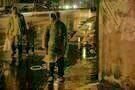 Stray Dogs 01