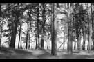 Summer - Ausschnitt