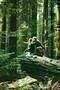 Swiss Army Man 02