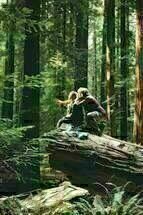 Swiss Army Man 02 Swiss Army Man 02